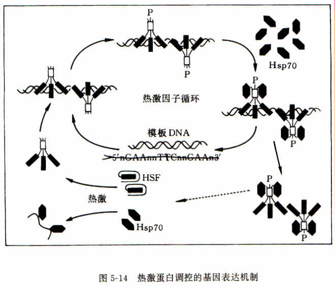 澳门新葡游戏网